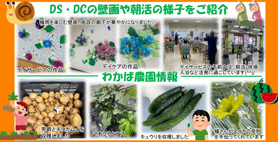 北斗わかば介護施設 ニュースレター 6月号