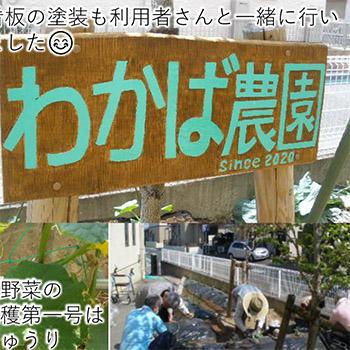 令和2年6月号　北斗わかば介護施設　ニュースレター