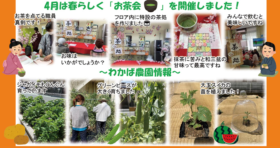 5月ニュースレター